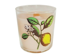 svecha-s-derevyannym-fitilem-citrus
