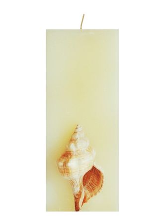 morskaya-svecha-s-rakovinoj