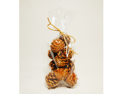 shishki-dlya-dekora-10-shtuk