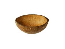 polovinka-skorlupy-kokosovogo-orekha