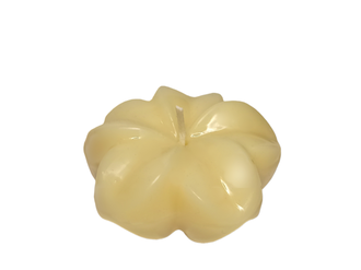 plavayushchaya-svecha-plyumeriya-cvet-slonovaya-kost